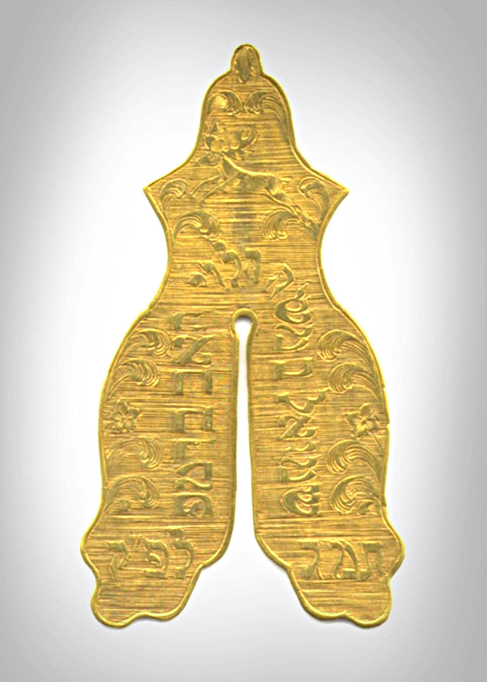 Gold
      circumcision shield